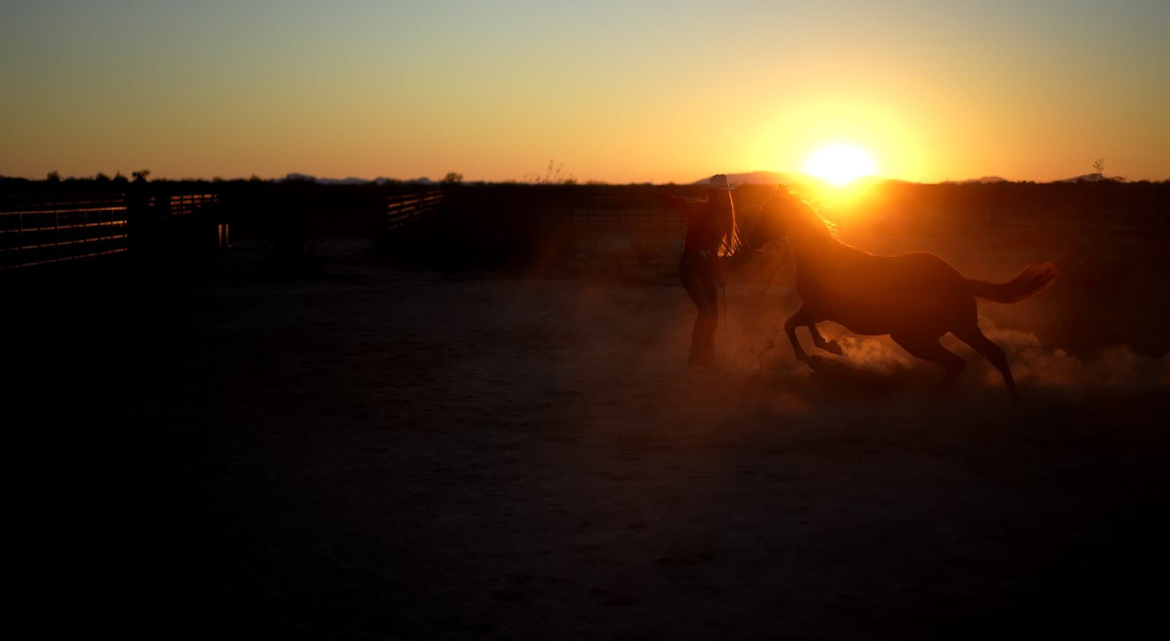Trainer and horse at sunset in an Arizona arena